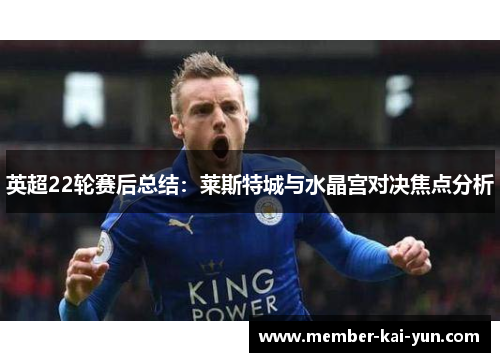 英超22轮赛后总结:莱斯特城与水晶宫对决焦点分析 英超22轮赛后总结:莱斯特城与水晶宫对决焦点分析