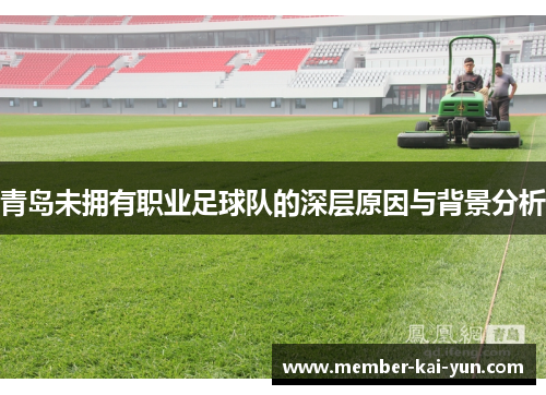青岛未拥有职业足球队的深层原因与背景分析 青岛未拥有职业足球队的深层原因与背景分析